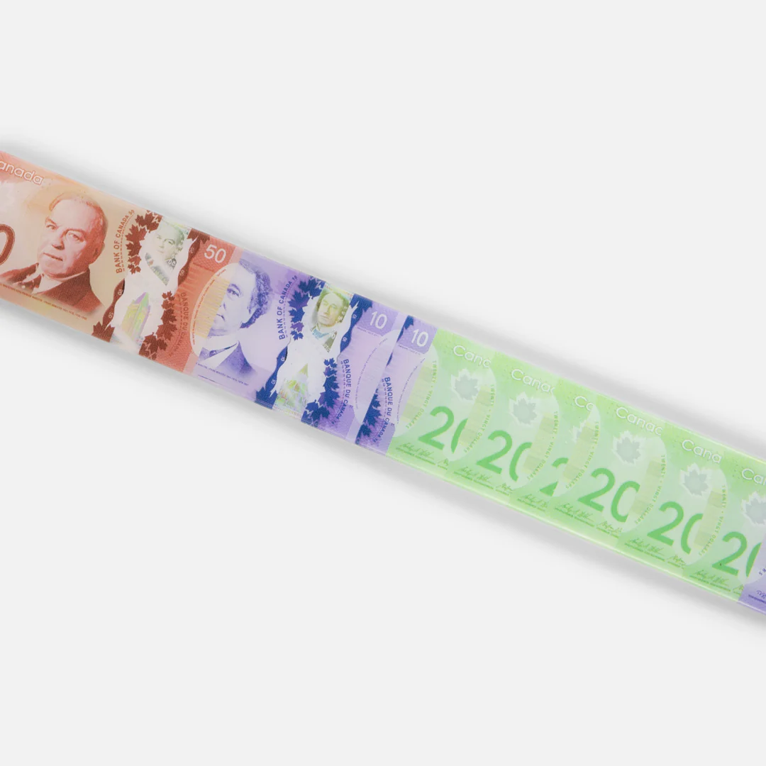 Dime Money Spread Belt - Cad - Image 3